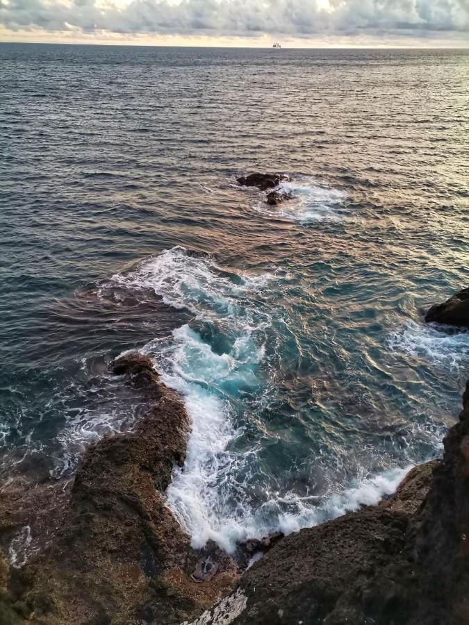 Ines Seaview Apartment Funchal  Extérieur photo